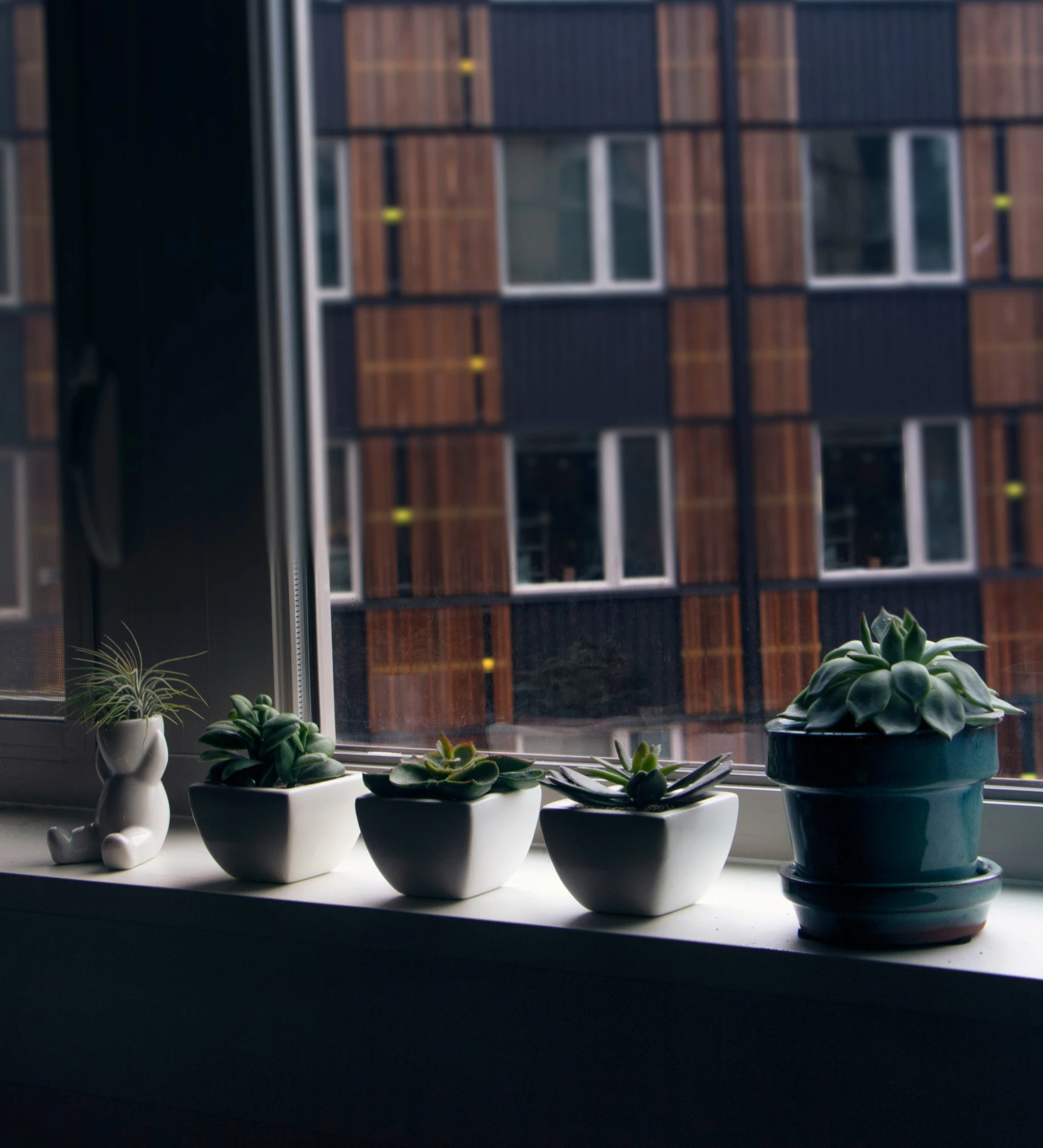 several pots that have succulents in them, on a ledge of a window