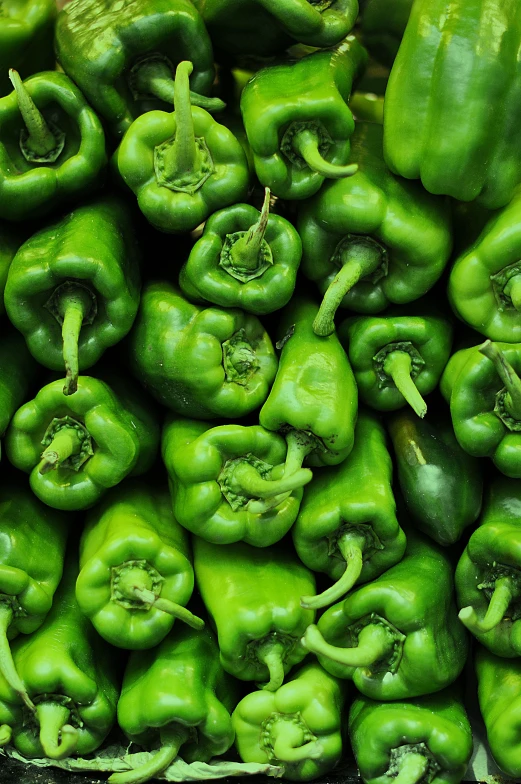 a bunch of green peppers, stacked in rows