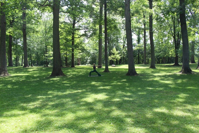 park like area with lots of green grass and trees