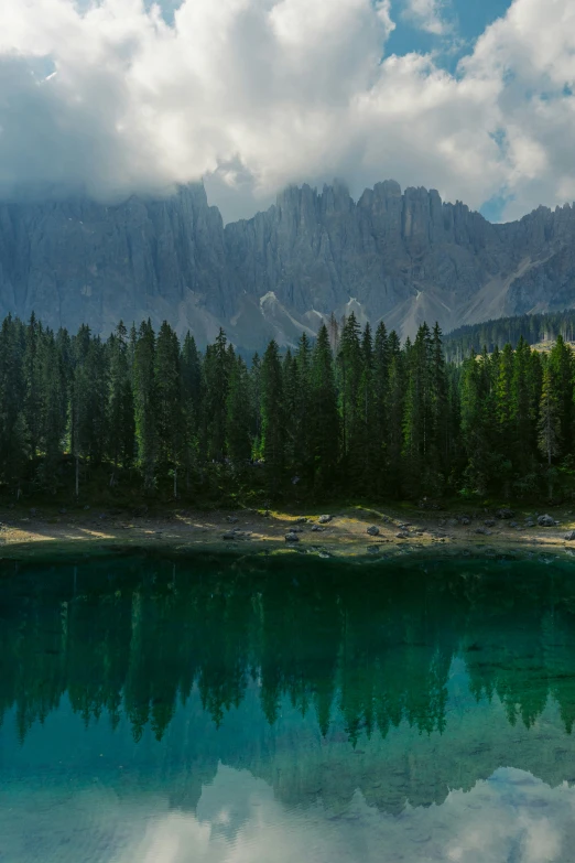 a mountain is in the background while some trees grow