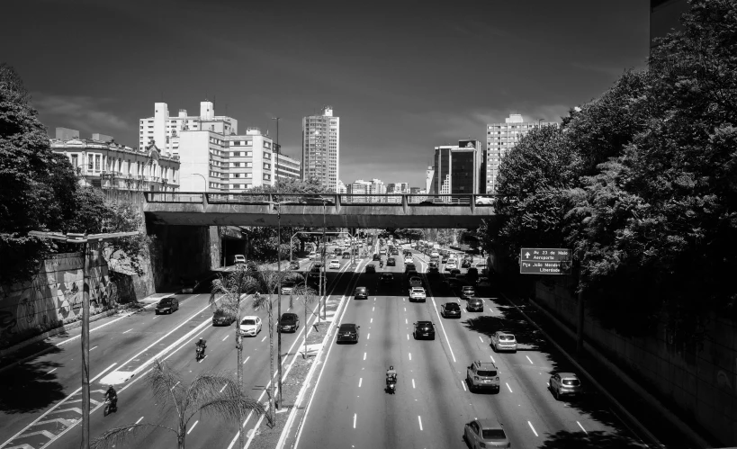 a black and white po with the city in the background