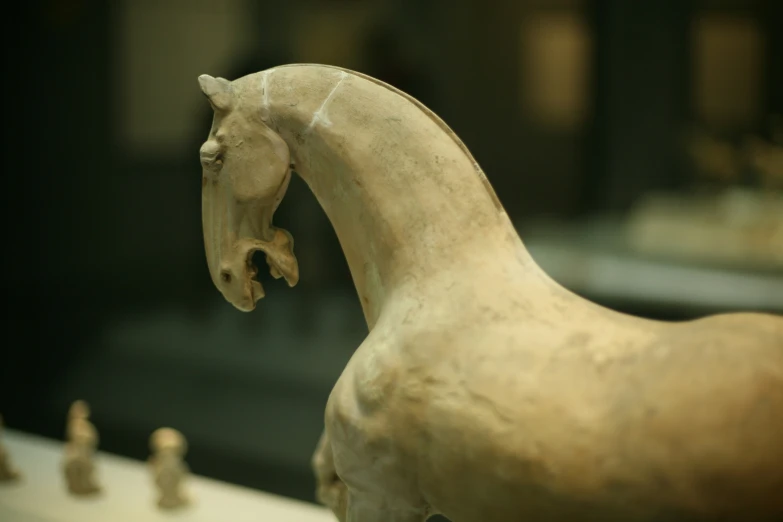 a statue of a horse in a glass case