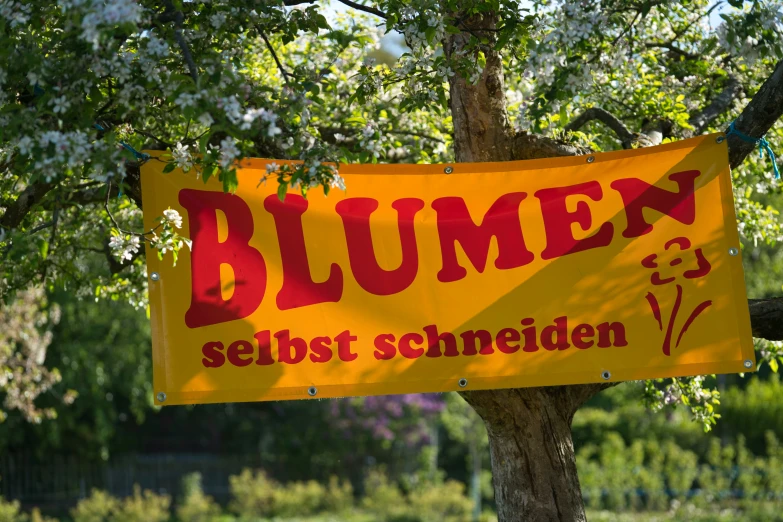 the german flag hanging from the tree says blumek