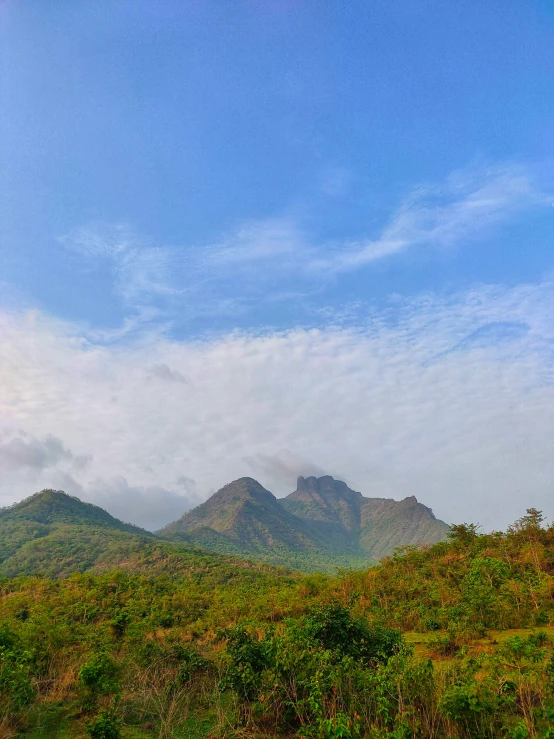 some hills in the distance with trees and bushes