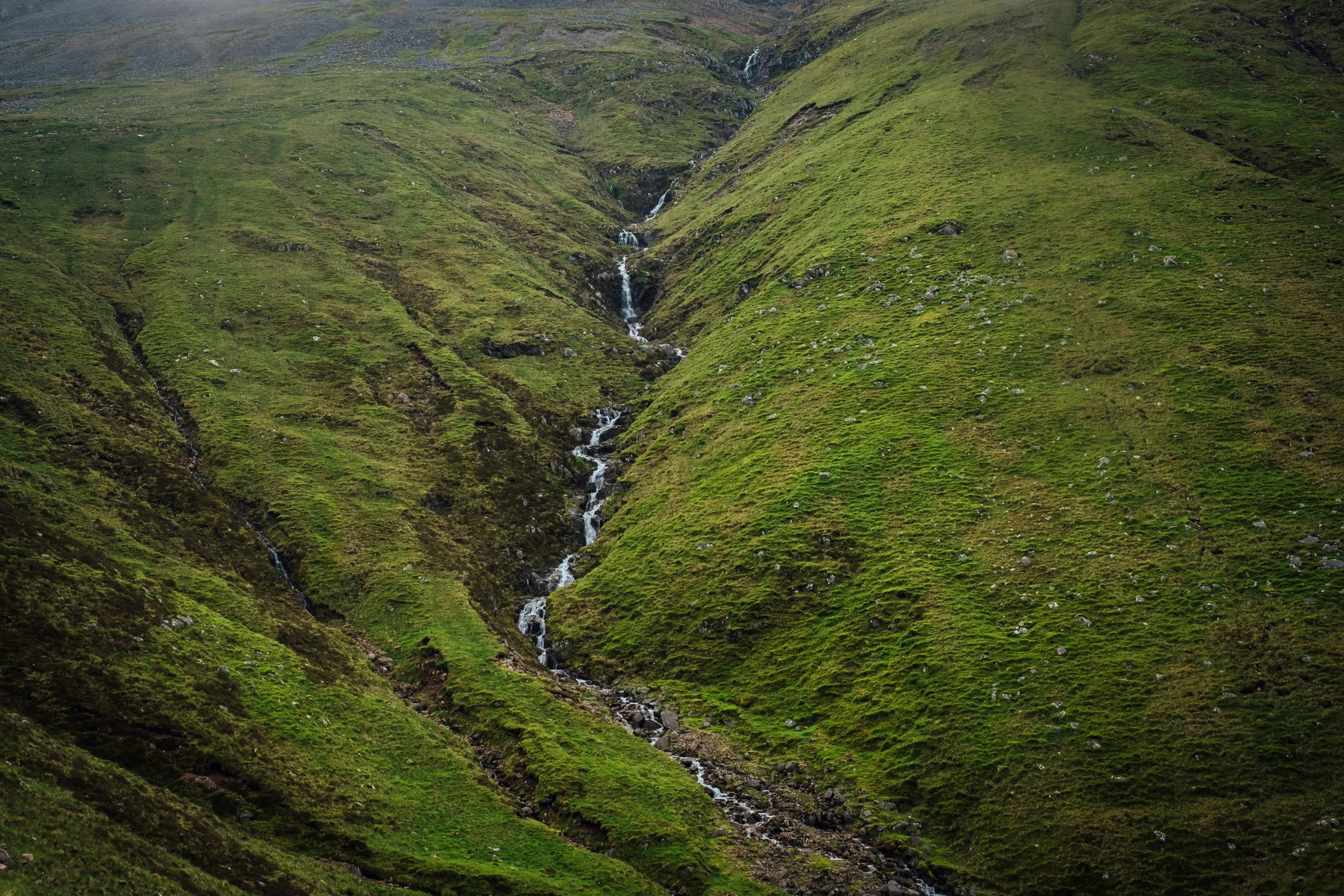 a grassy area has a stream running through it