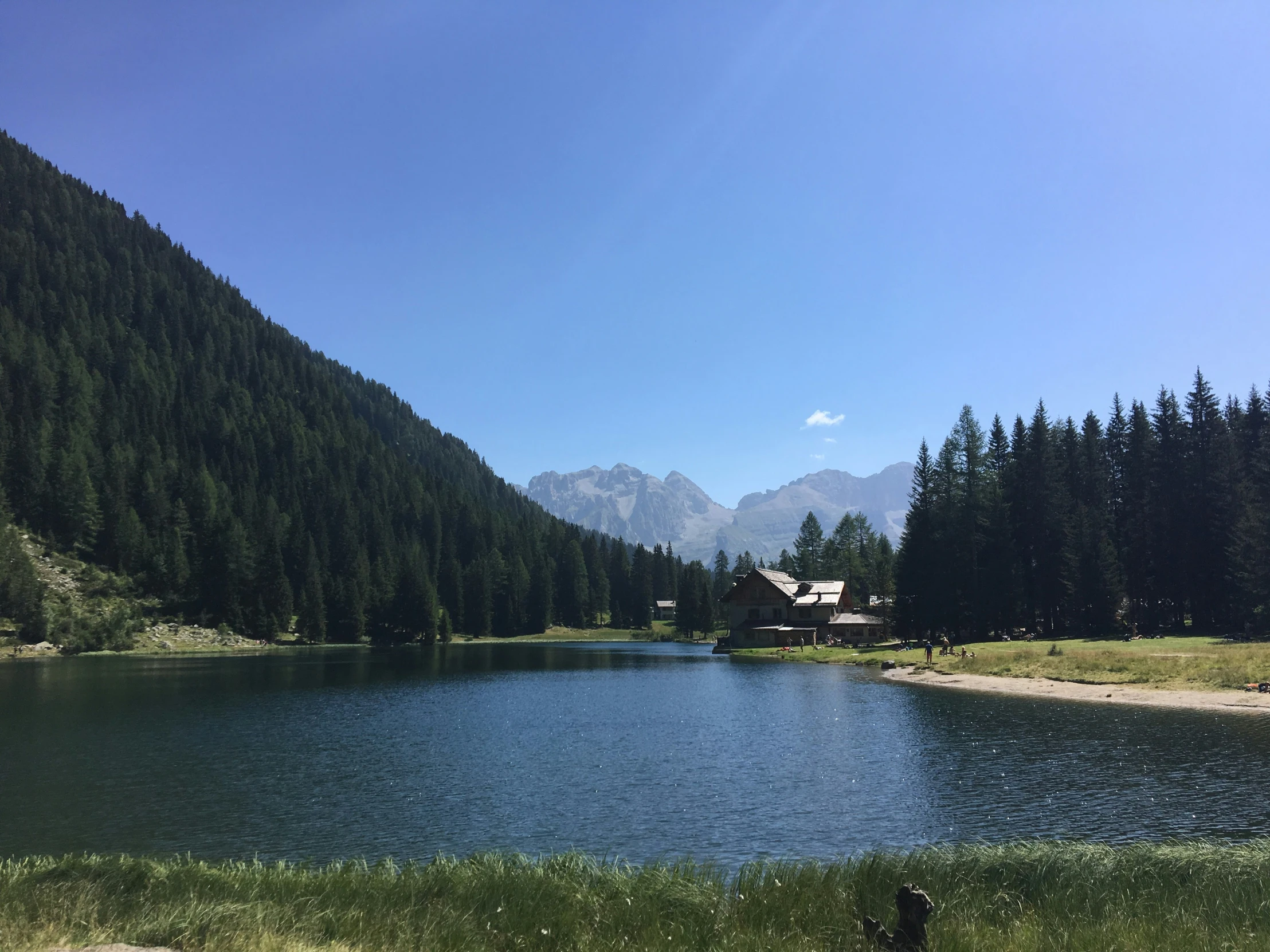 the blue body of water is surrounded by trees