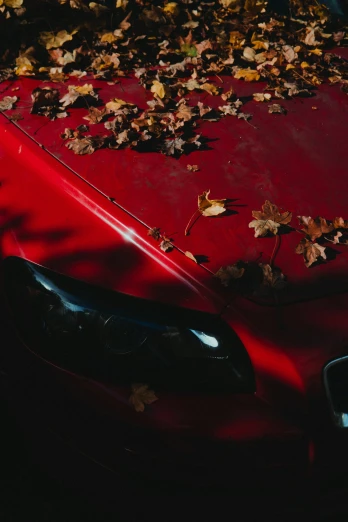 there is a red car with fallen leaves on the hood