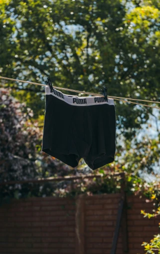 shorts hang upside down from a clothes line in front of trees