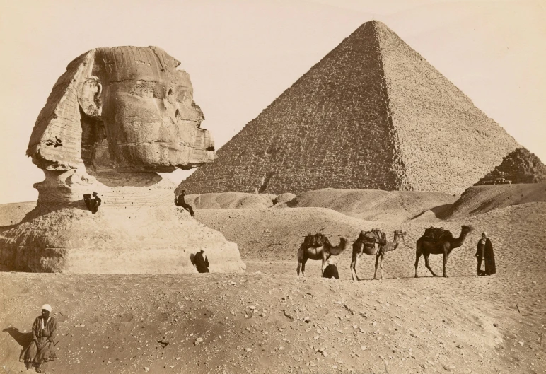 an old picture with three camels and the pyramid