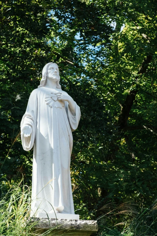 a statue that is in the middle of some grass