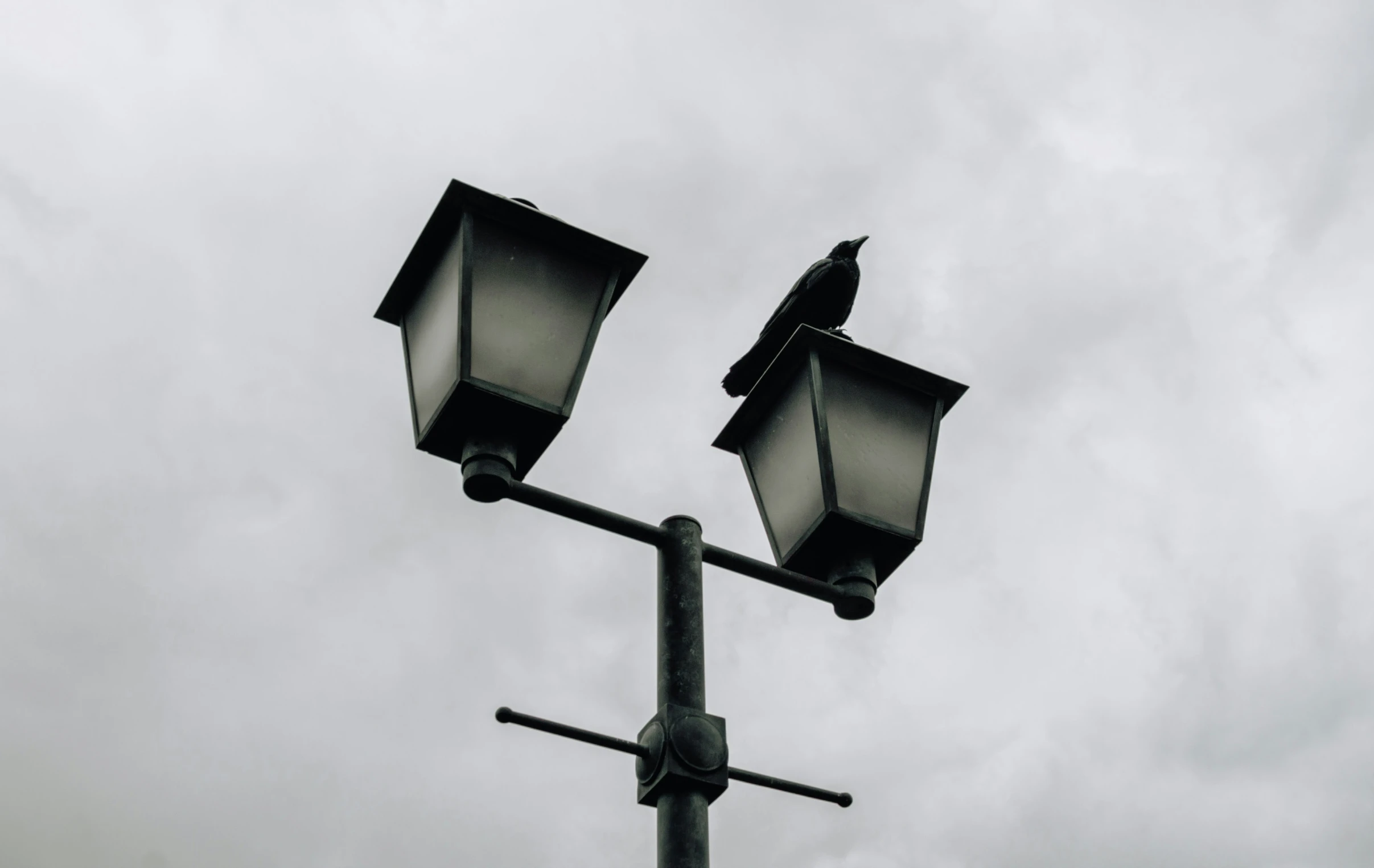 a street lamp with two street lights on top