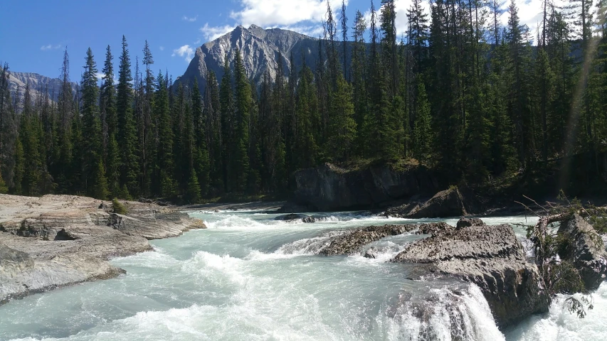 a mountain river surrounded by trees with a blue sky