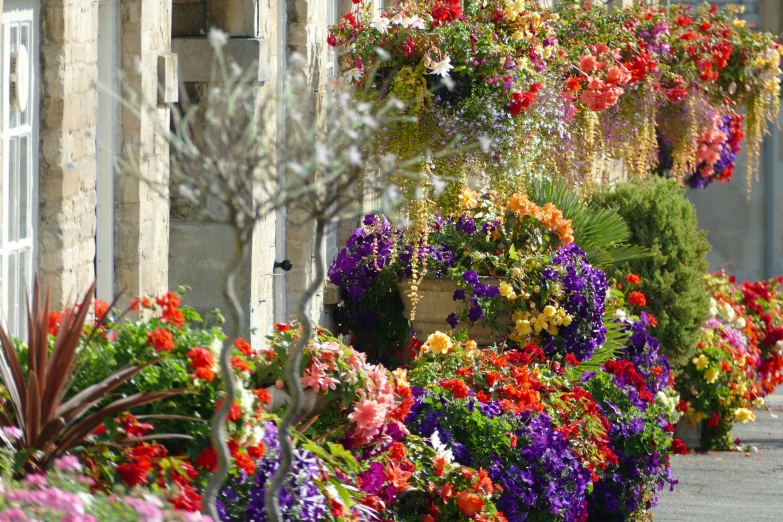 a large variety of flowers hanging in a building