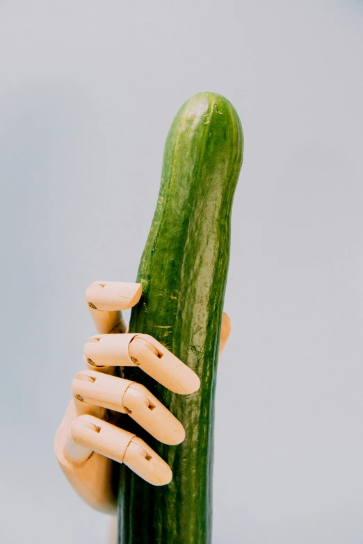 several fingers and fingers attached to a cucumber