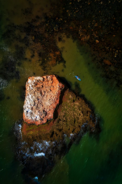 a rock sitting in the water with green algae