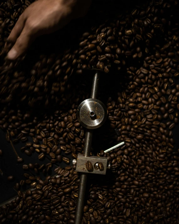 there are lots of coffee beans all over this picture