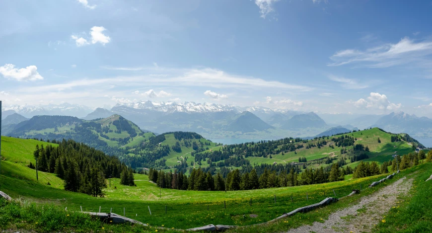 a landscape of mountains in the distance, with grass in foreground and trees in the foreground