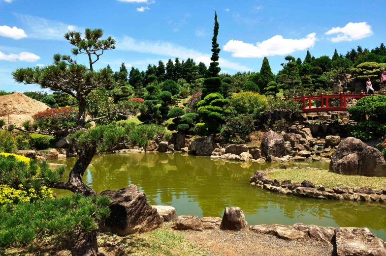 people are standing on the bridge by a pond