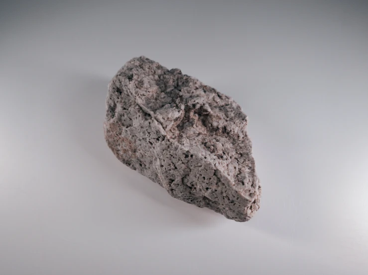 a rock with little gray rocks growing out of it