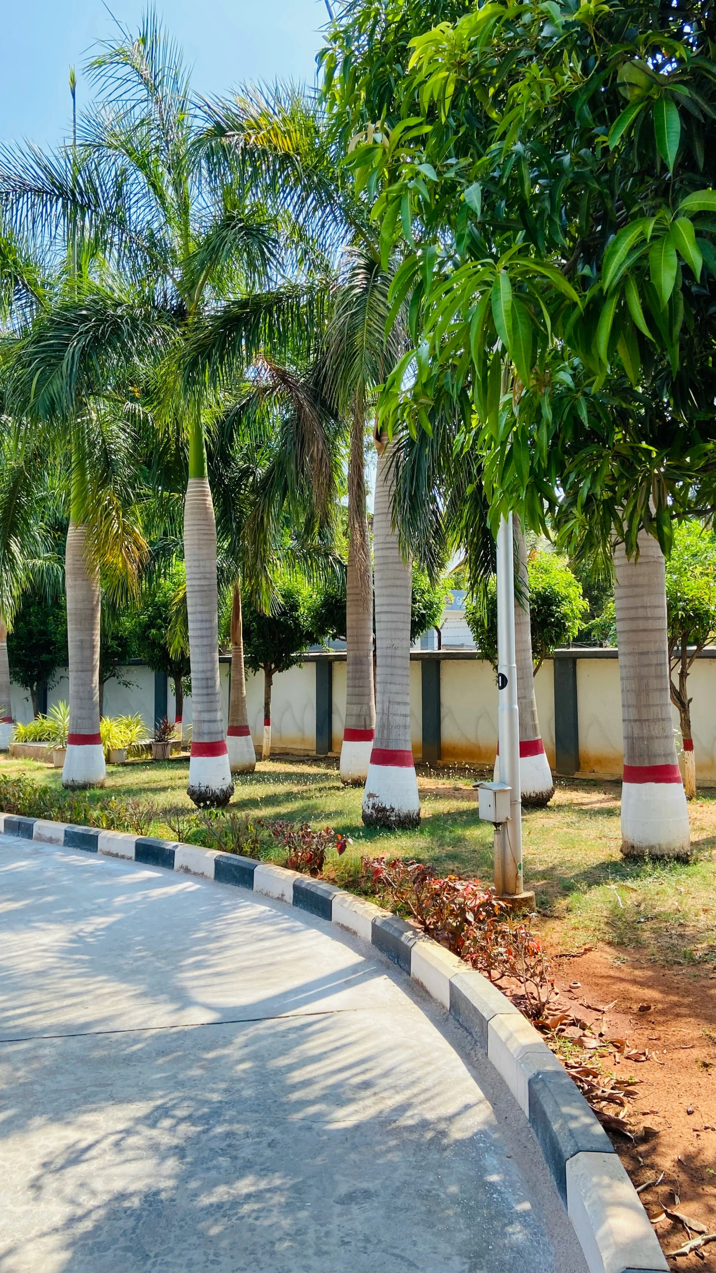 a sidewalk that has red and white stripes between two trees