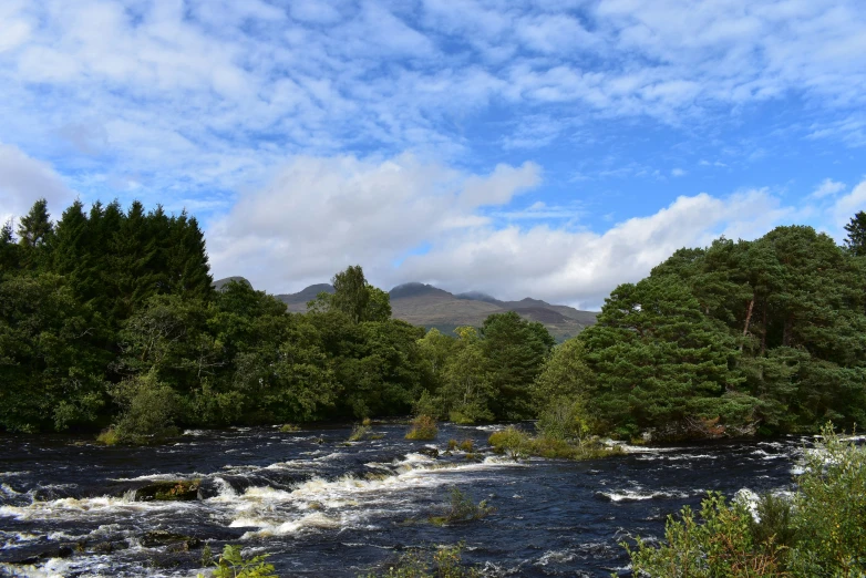 there is a small river running between trees and bushes