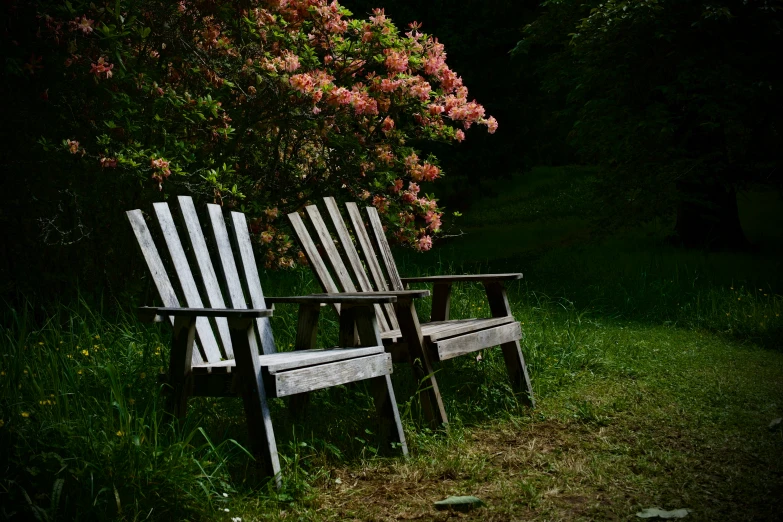 two white chairs next to each other by a flower tree