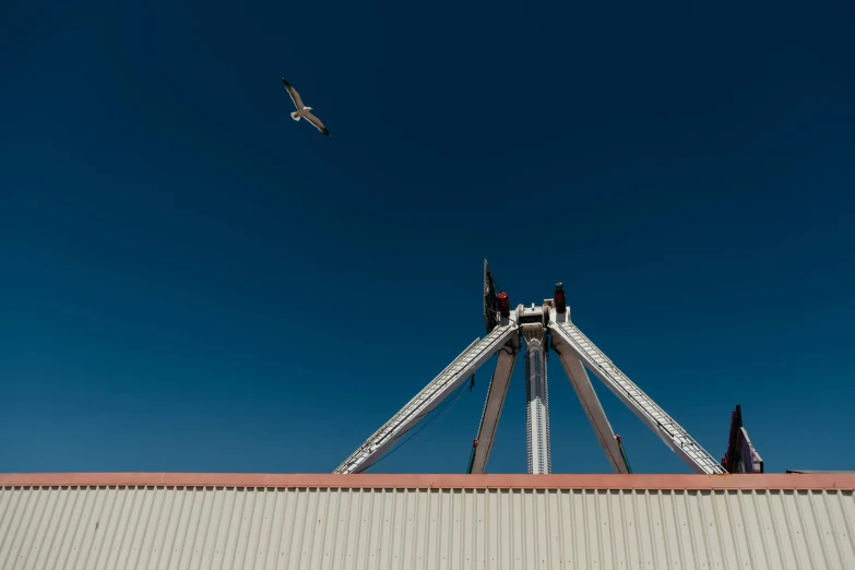 a ferris wheel with birds flying overhead on a clear day