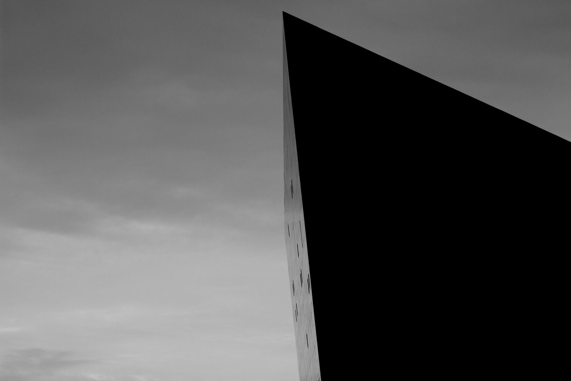 the top of a tall black building near a tree