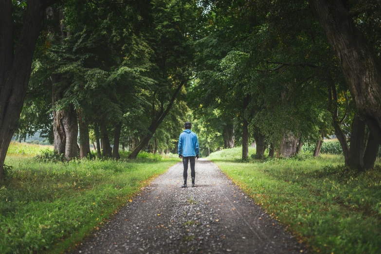 a person walking down the middle of a road surrounded by trees