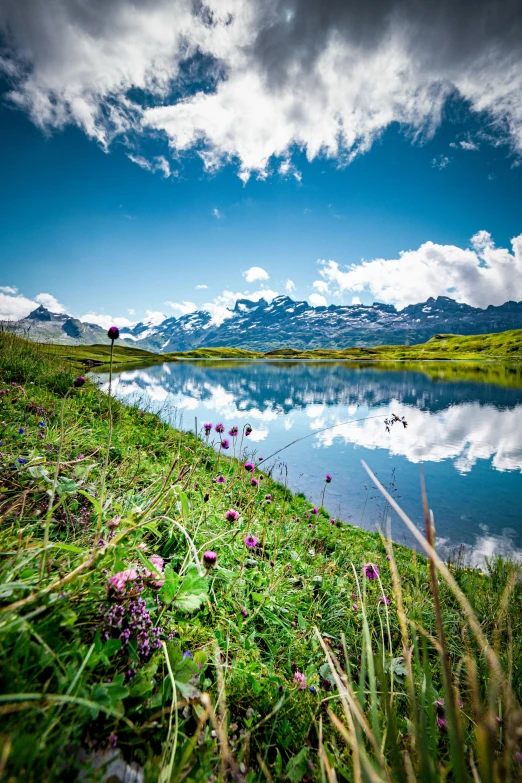 a hill with flowers near a lake and some clouds in the background