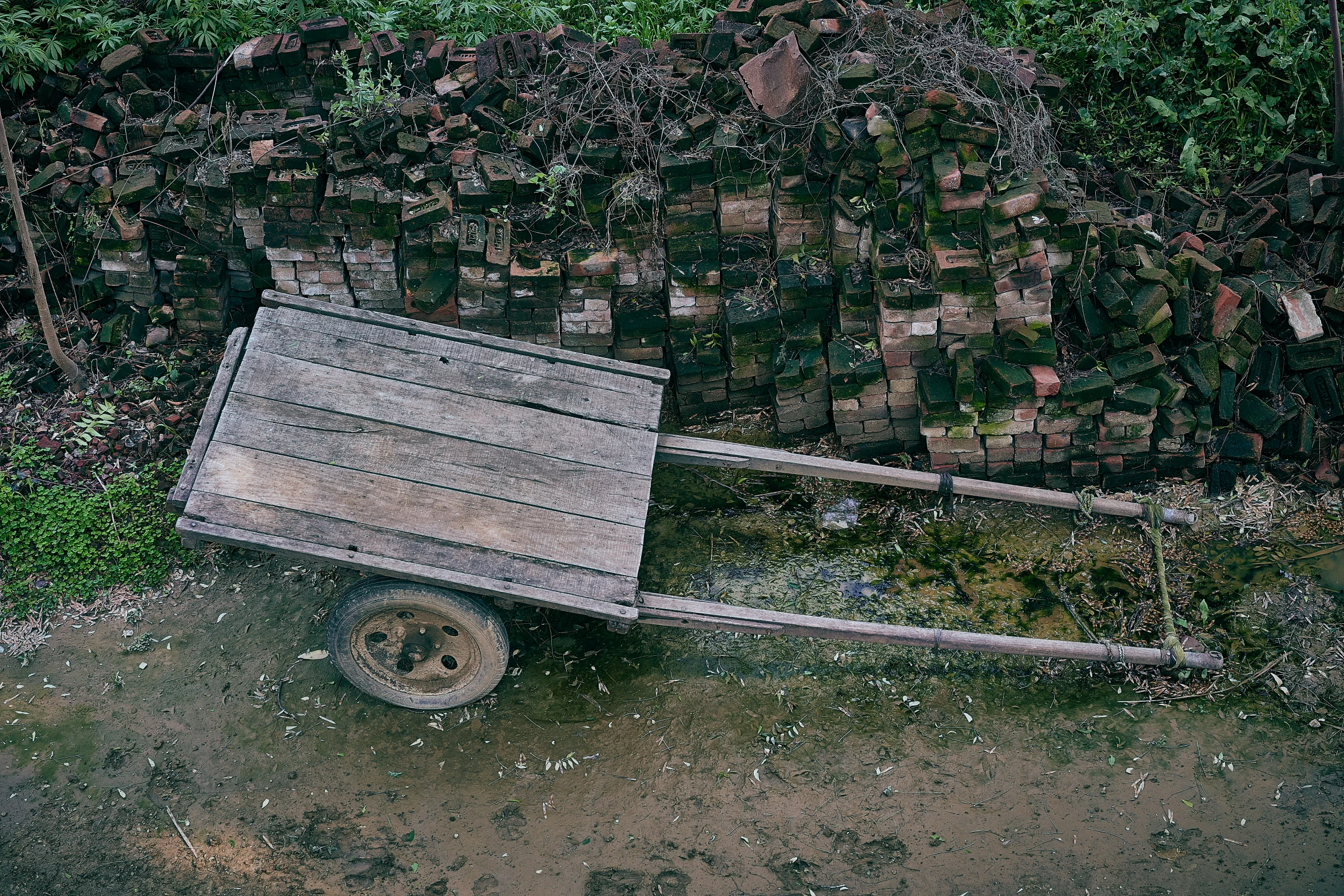 an old abandoned wheelbarrow next to a forest