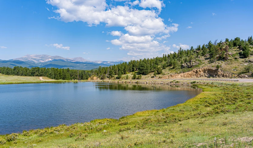 a lake surrounded by grass and trees in the mountains