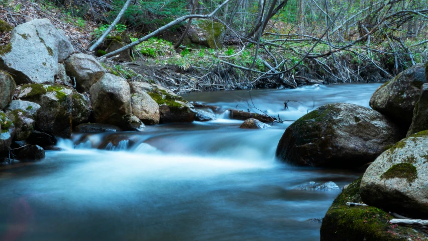 a stream runs between rocks in a forest