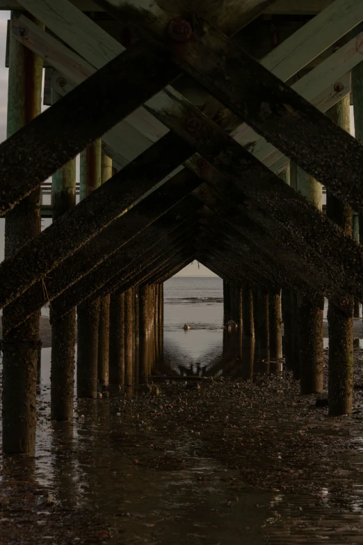 several pillars sitting at the bottom of a pier