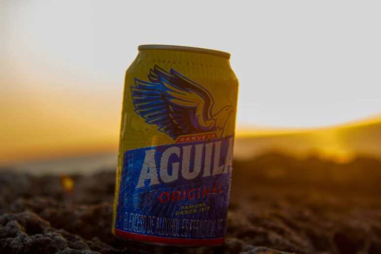 an empty beer bottle sitting on the ground with a sunset in the background