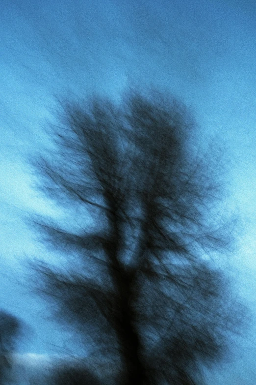 a blurry image of some trees on the side of the street