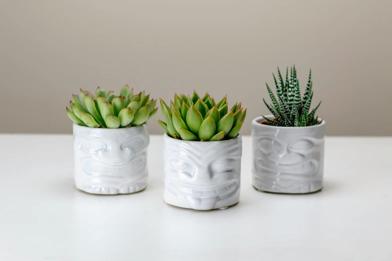 three pots are set on a table together and one has an aloene, the other is a succulent