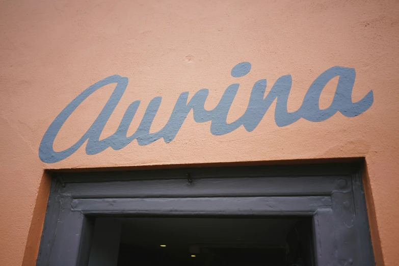 the word awnia written on a pink wall with blue writing below