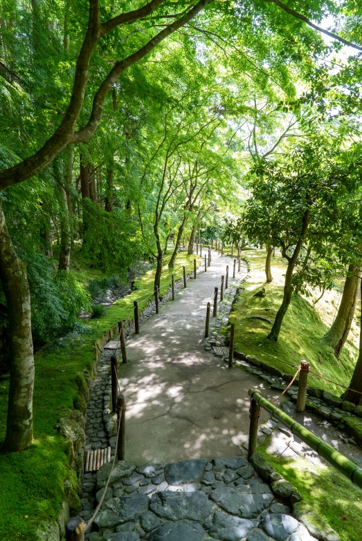 a pathway leading into the woods in a forest