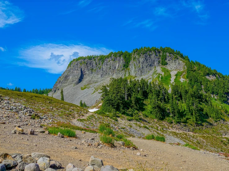 a rock mountain with trees growing on top