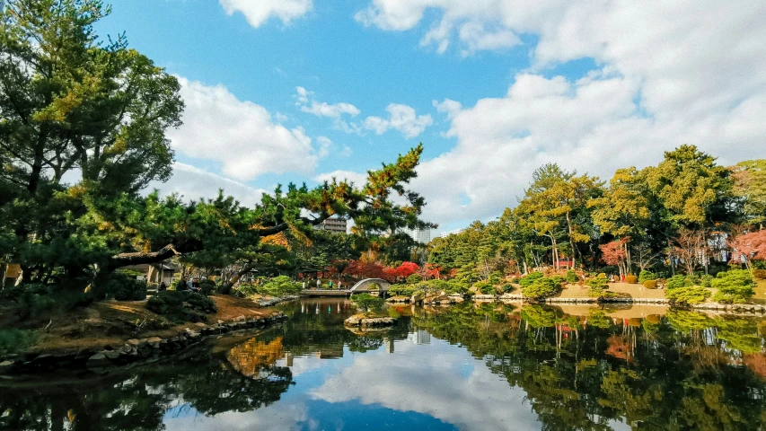 trees and houses are reflected in a lake