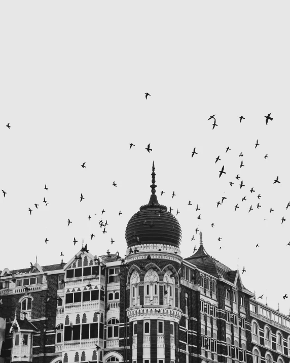 black and white pograph of birds flying over a tall building