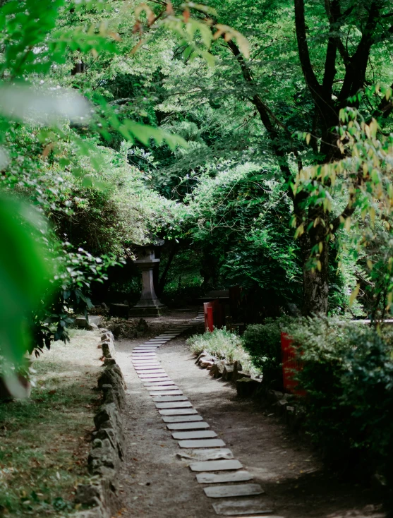 a small path is shown lined with trees and bushes