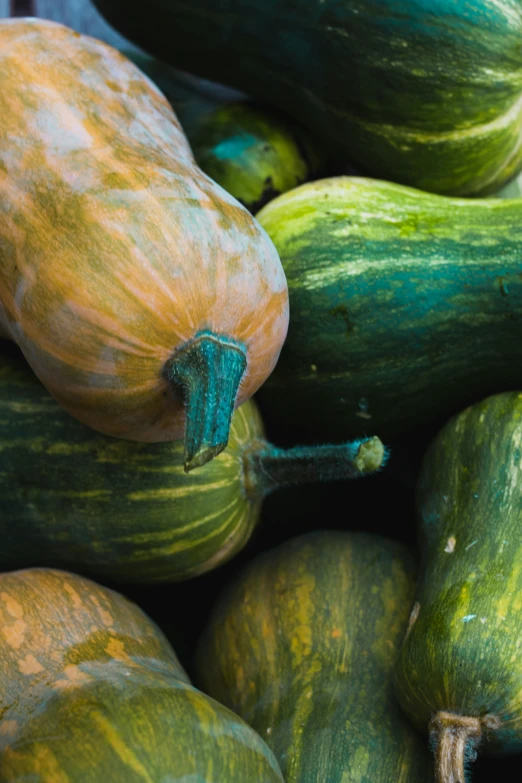 a pile of different looking squashes piled on top of each other