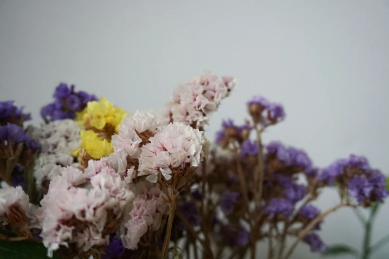 a lot of flowers in different colors in a vase