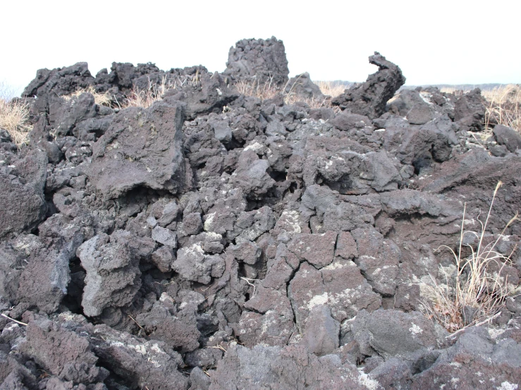 large rocks covered in black and gray vegetation