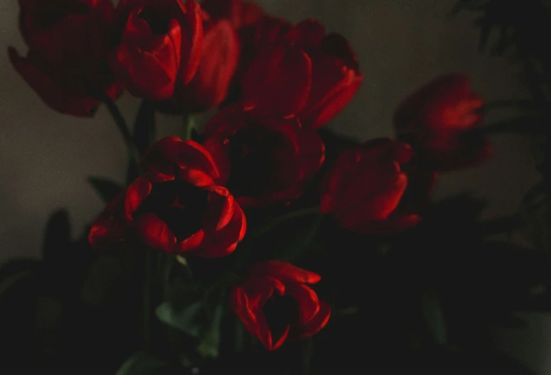 a bouquet of red flowers on a table