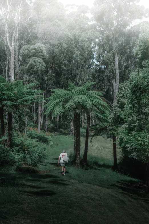 a woman is walking through some trees in the forest