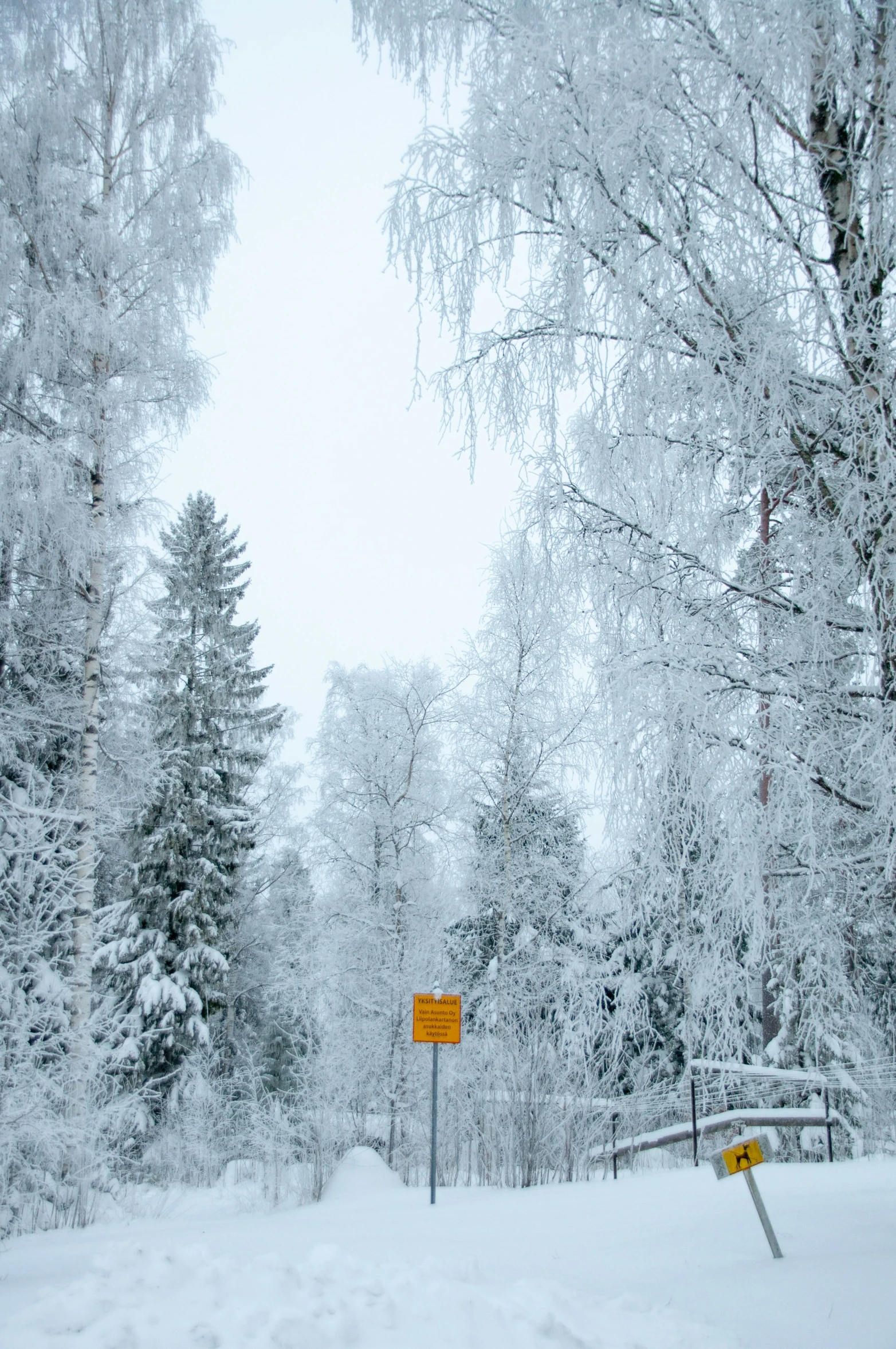 a yellow sign sitting in the snow near trees