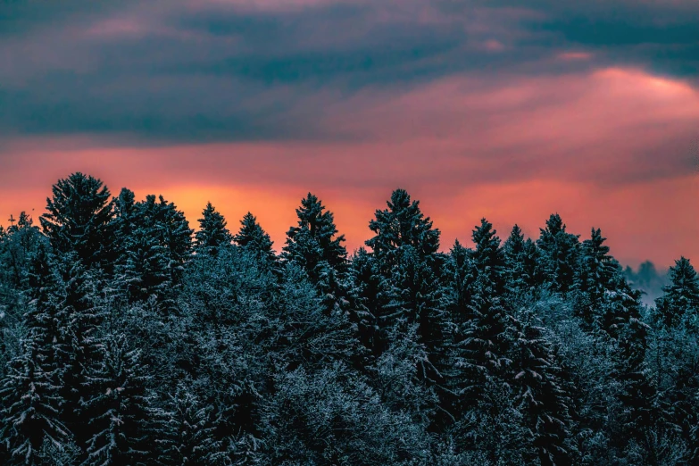 the sun is setting over the snow - covered trees